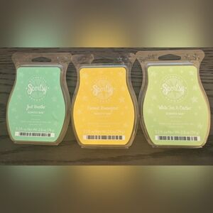 Scentsy three vintage wax bars - just breathe, coconut lemongrass, and tea cactu